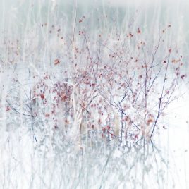 Touche n°1 – 40×60 cm