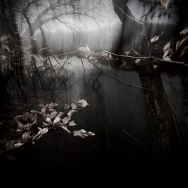 Touche n°4 – 90×60 cm